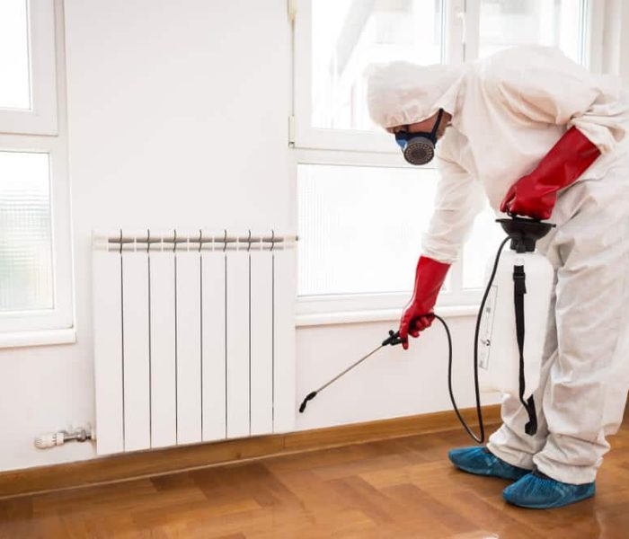 Exterminateur au travail